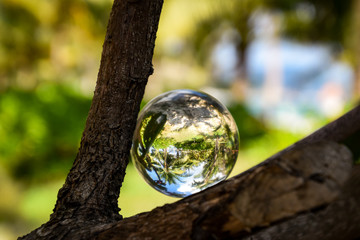 Close Up Crystal Ball on a Coconut Palm Trees in the Background - 265475860