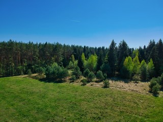 Obraz premium Drone photo of a forest in Minsk Region of Belarus