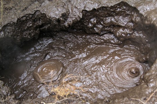 Orakei Korako hidden geothermal area - New Zealand: Close up of boiling hot thermal bubbling mud pot
