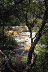 Orakei Korako hidden geothermal valley - Emerald terrace: View through trees on colorful rainbow...