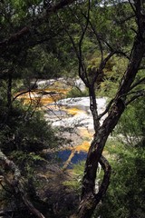 Fototapeta premium Orakei Korako hidden geothermal valley - Emerald terrace: View through trees on colorful rainbow sinter terrace covered with yellow and white microbial mats and clear blue alkali chloride pool