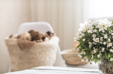 Still life interior details in the living room and decor