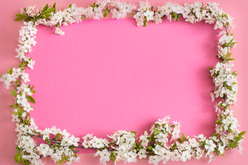 Pink delicate spring background with spring flowers