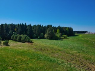 Aerial view of a forest in Belarus