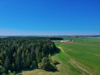 Obraz premium Edge of pine forest in Belarus countryside