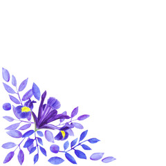 Watercolor bouquet of irises, hand drawn floral illustration, blue flowers and leaves on white background
