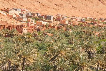 Fototapeta na wymiar Morocco, Ait Ijjou by Tinghir, Oasis, Date Palm Orchard, Mountains