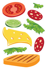 Sandwich main ingredients with meat, cheese, vegetables, vector illustration.