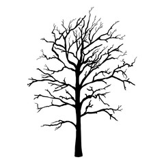 Vector Black Silhouette of Single Bare Tree