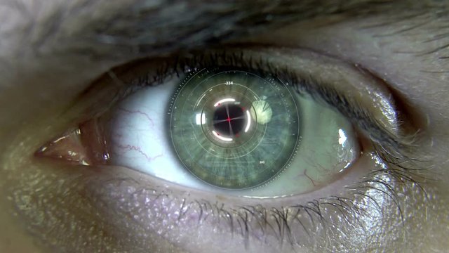 Animation of the eye with holograms