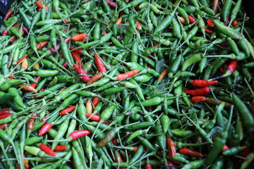 Green chili and red chili in the basket