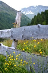 Fototapeta premium Bretterzaun in den Südtiroler Bergen - altes Handwerk - Bergbauern und ihr Lebensraum