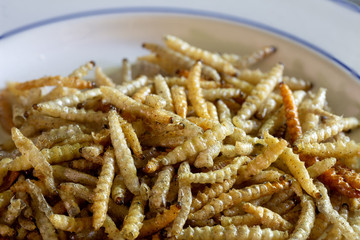 Fried worms bamboo thai snack in white dish and sauce in white cup and select focus