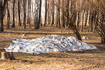 the last snow on the background of early spring in the Park. Spring time