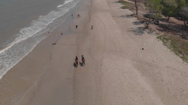 Aerial drone footage Man Rider Riding On Horse at beautiful beach at Tuaran, Sabah, Malaysia