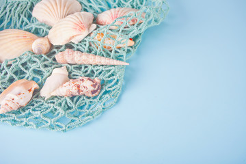 Many different seashells and fishing net as texture and background for designers. Top View. Copy space.