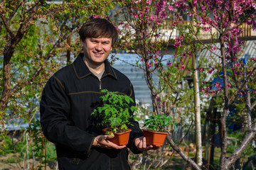 A man will keep containers with seedlings of pepper and tomatoes at their summer cottage