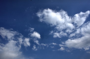 Obraz premium SONY DSC