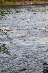 water in the river