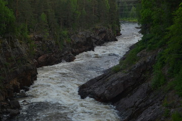 river in the forest