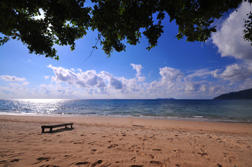 Oceanview through the trees - Image