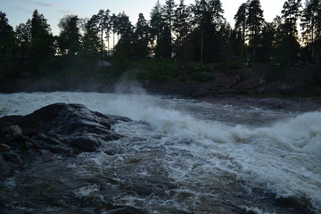 river in the forest with rocks