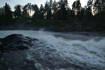 river in the forest with rocks