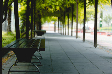 bench in the park