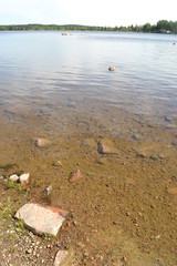 stones in water