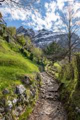 Naklejka na ściany i meble Monte Resegone on a Mountain Path, Lecco, Italy