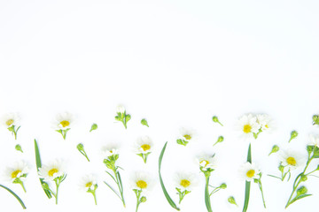 Flowers composition. Border made of daisy white flowers. Flat lay, top view