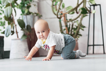 Charming eight-month baby crawls on the floor