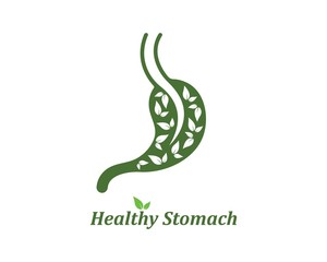 stomach vector illustration design