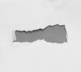 pieces of torn paper texture background, copy space.