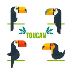 Toucan bird cartoon character. Cute toucan flat vector isolated on white. The fauna of South America. Wild animal illustration for a zoo ad, nature concept, children picture book