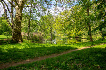 Fototapeta na wymiar View of green natural forests with river in Leipzig Grosszschocher-Knautkleeberg district