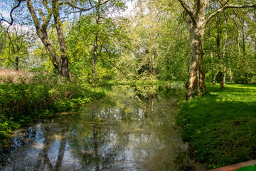 Fototapeta na wymiar View of green natural forests with river in Leipzig Grosszschocher-Knautkleeberg district