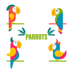 Collection of Cute Colorful Tropical Parrots Vector Illustration