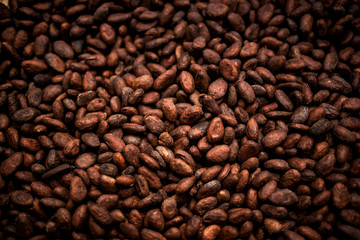 Cocoa beans and cocoa fruit on the cocoa concept with raw materials Aromatic cocoa beans as background - obrazy, fototapety, plakaty