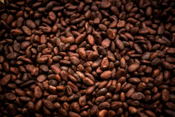 Fotobehang Cocoa beans and cocoa fruit on the cocoa concept with raw materials Aromatic cocoa beans as background © somchai20162516