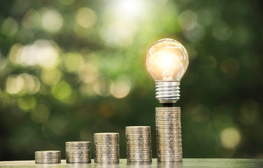 Energy saving light bulb  stacks of coins on nature background.