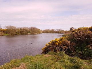 river in autumn