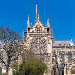 Fototapeta na wymiar Paris, Notre-Dame cathedral in the ile de la Cite, the stained glass windows, the arrow and the pope