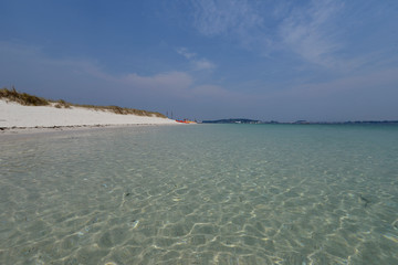 image of a beach line	