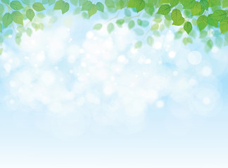 Fototapeta premium Vector green leaves border on blue sky background.