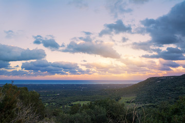 Sunset on the plantations of centuries-old olive trees in Puglia