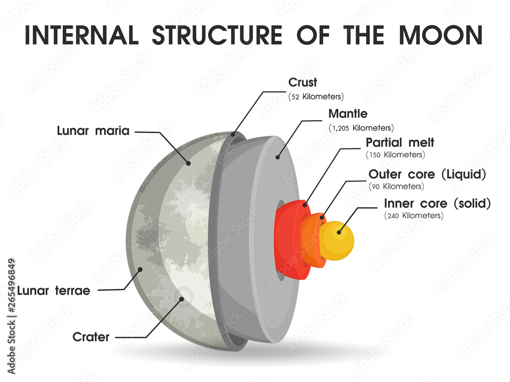 Wall mural the internal structure of the moon that is divided into layers.