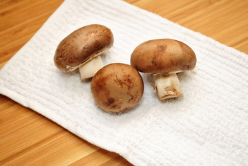 Three Porta Bella Mushrooms ona White Kitchen Towel