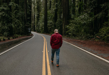 man in red flannel walking on road in forest - 265498679