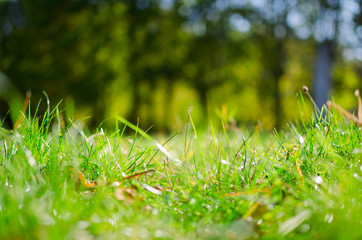 Abstract natural backgrounds